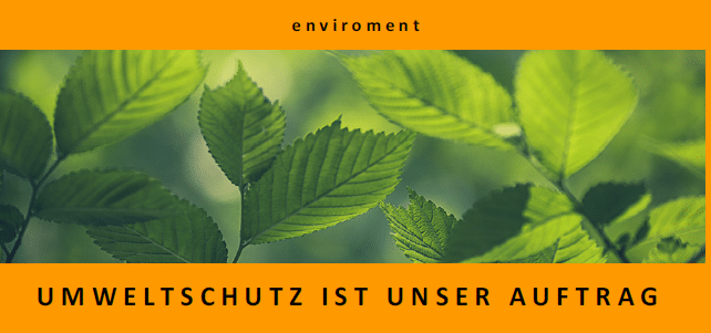 Unternehmenspolitik Enviroment